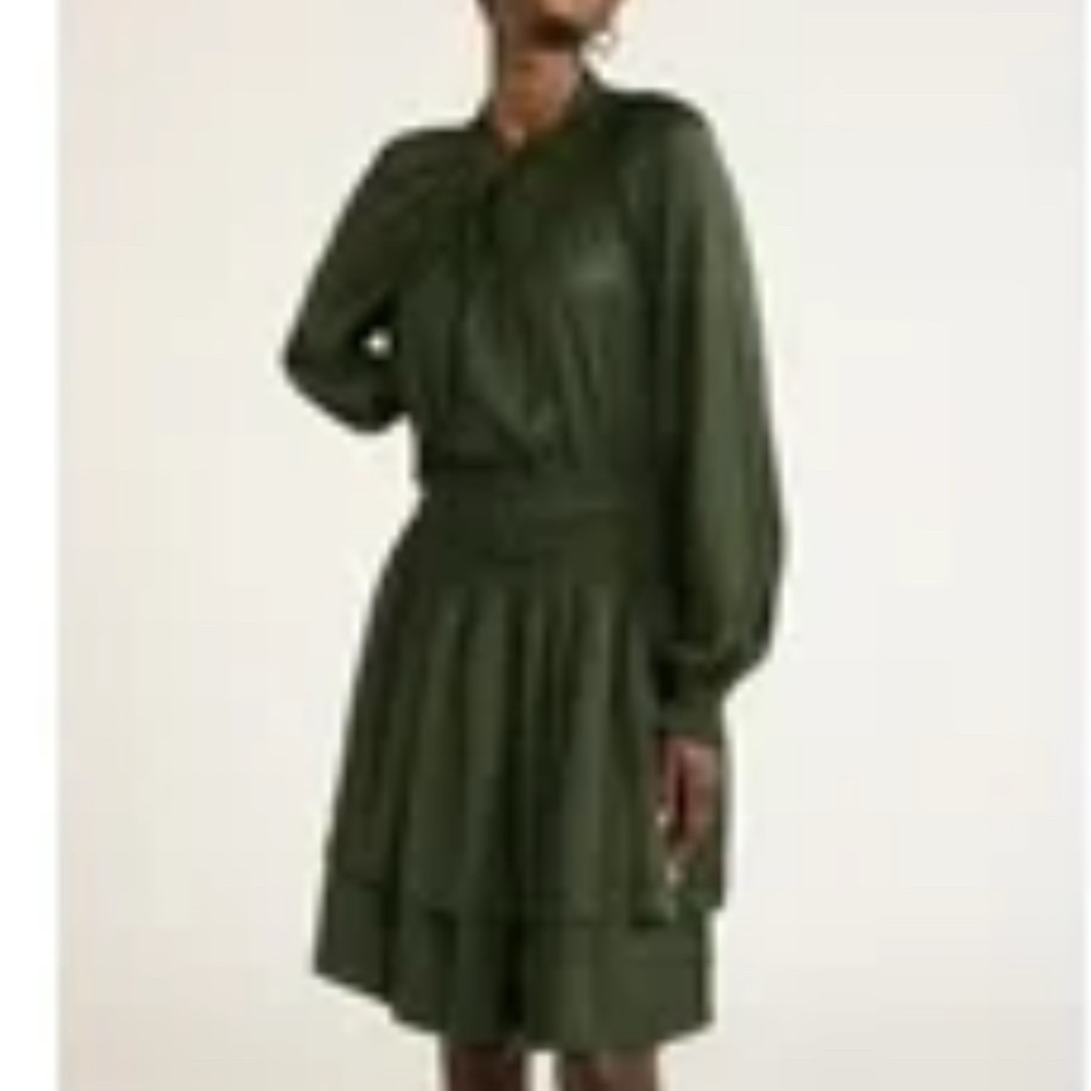 Chic Long Sleeve Green Dress